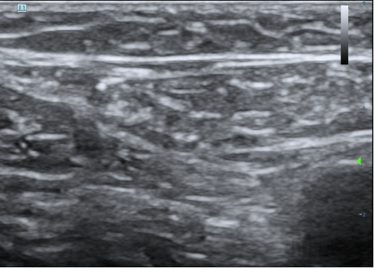 微信圖片_20220702150103.png 微信圖片_20220702150103.png