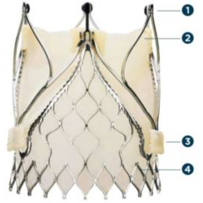 微信圖片_20220913184317.png 微信圖片_20220913184317.png