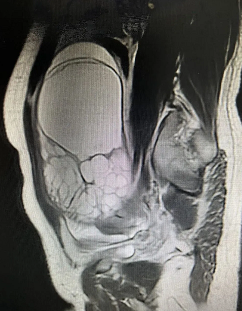 微信圖片_20230412211310.png 微信圖片_20230412211310.png