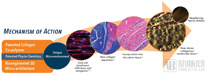 640 (3).png 640 (3).png