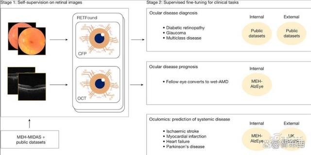 公募大咖展望明年行情 最可能賺盈利穩(wěn)定的錢