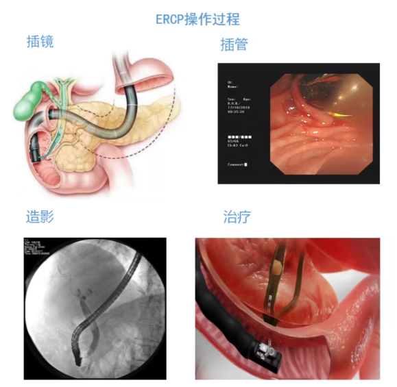 微信圖片_2025-12-09_160600_162.png 微信圖片_2025-12-09_160600_162.png
