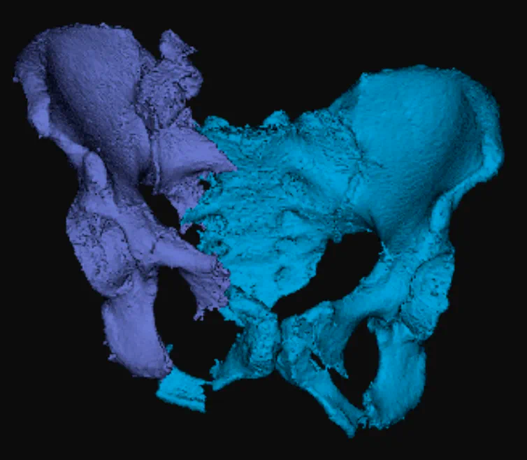 微信圖片_20250618203245.png 微信圖片_20250618203245.png