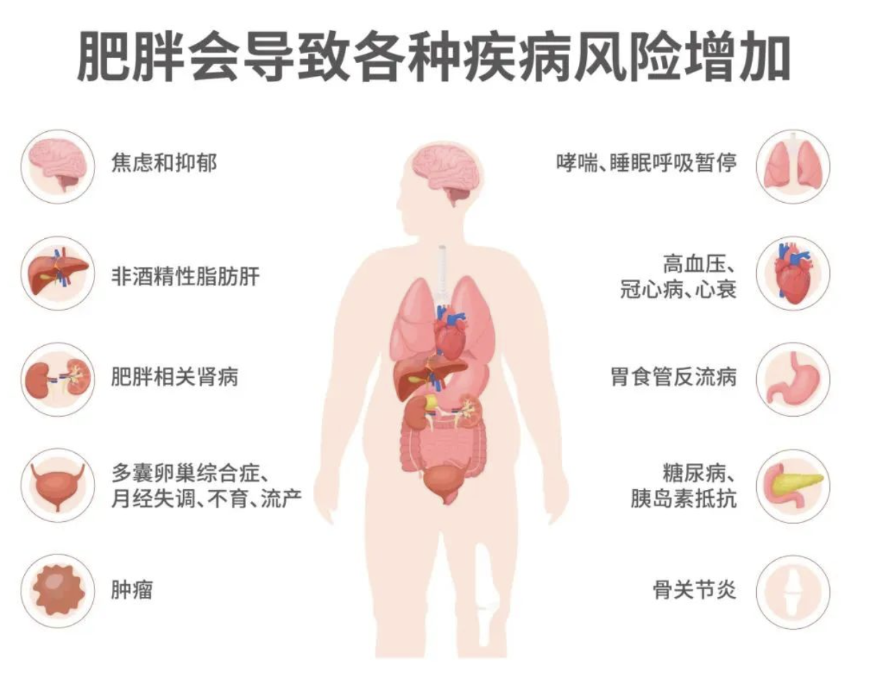 微信圖片_20250619225849.png 微信圖片_20250619225849.png