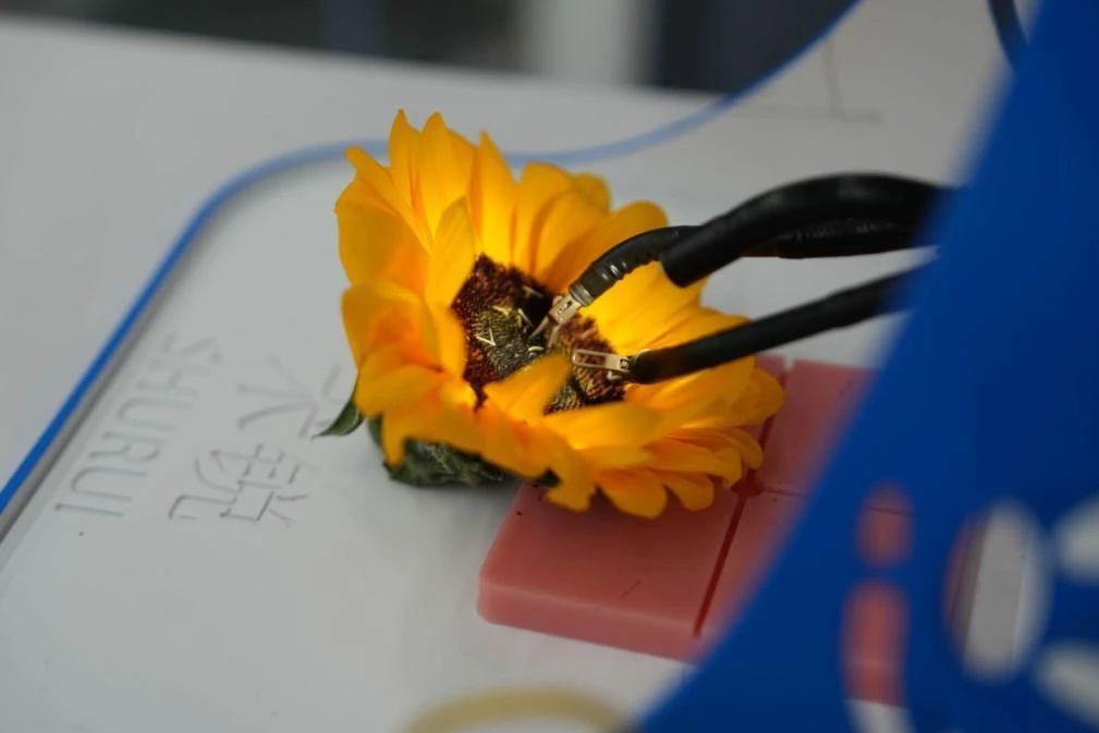 微信圖片_20250629224600.jpg 微信圖片_20250629224600.jpg