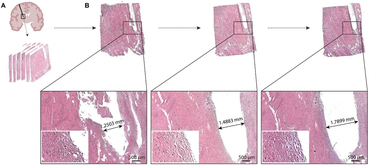 微信圖片_2025-09-17_171855_482.jpg 微信圖片_2025-09-17_171855_482.jpg